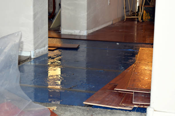 Professional Basement Flood Cleanup technician working in Chester, PA